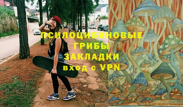 прущий лед Козловка