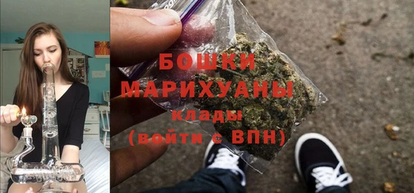 прущий лед Козловка