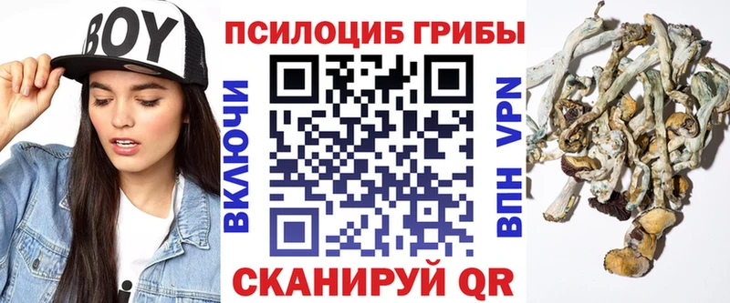 Псилоцибиновые грибы ЛСД  Талдом 